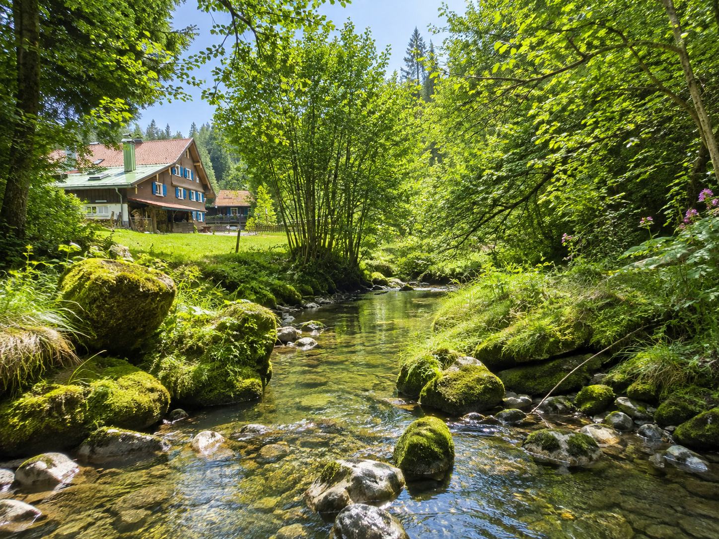 Ferienhaus Ruhmühle – Foto 2